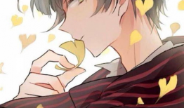 哥哥控漫画,揭秘兄妹间甜蜜又微妙的情感纠葛