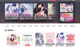 小说漫画源码,小说改编的奇幻之旅