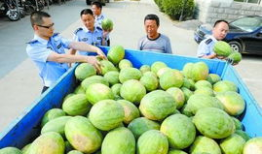 网红吃瓜群 骗局,揭秘网络陷阱，守护你的财产安全