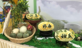 吃瓜网盘甜甜,揭秘网络娱乐新潮流