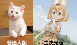 犬奴漫画,揭秘宠物与主人之间不为人知的情感纠葛