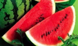 如何免费吃网红热瓜,轻松解锁美食盛宴