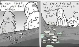 树根的漫画,揭示生命之源的奇妙故事